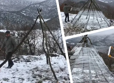 Набрели на шалаш в лесу🙂 стараемся хотя бы один день в неделю выделять для  семейных прогулок😌 #лес#прогулкавлесу#семейныевыходные… | Instagram