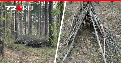Бомж построил домик-шалаш в лесу под Гродно - все закончилось пожаром и  смертью