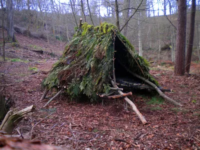 Как построить простой шалаш в лесу: односкатная и двухскатная конструкция