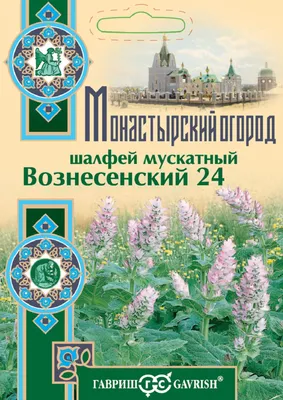 Шалфей Дубравный Блю – купить семена в интернет-магазине Лафа с доставкой  по Москве, Московской области и России