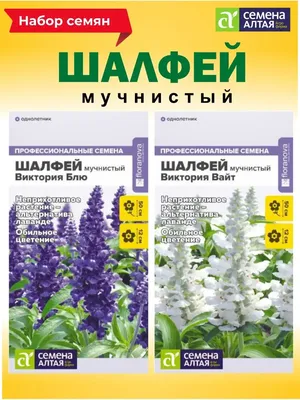 Плазменные семена Шалфей лекарственный Целебная трава, 2 уп. по 0,2 г. —  купить в интернет-магазине по низкой цене на Яндекс Маркете