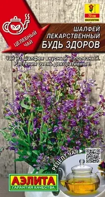 Salvia splendens - Шалфей сверкающий семена - Wikifarmer