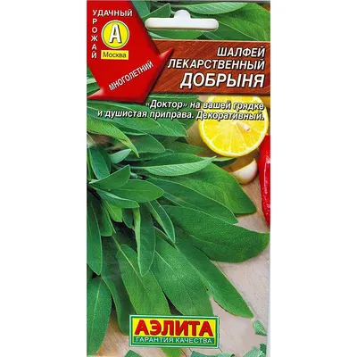 Семена лекарственных трав Шалфей Лекарственный купить в Украине | Веснодар