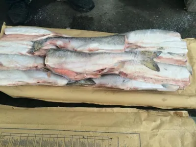 ШАМАЙКА - ЭЛИТА вяленой рыбы на Дону👑🏆 - НЕЖНАЯ - ЖИРНАЯ - мясо просто во  рту таееет🤤 Кто пробовал, навсегда остаётся её поклонником🤝 Для… |  Instagram