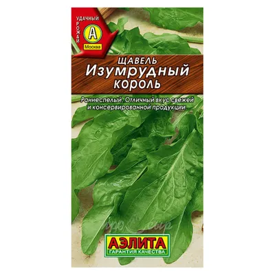 Семена Щавель Широколистный многолетний, 100 г ✔️ 180 грн. ᐉ Семена пряных  и зеленых трав в Обухове на BON.ua 89669095