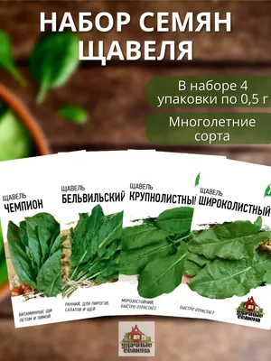 Семена Щавель Декоративный - купить по выгодной цене | Урожайка