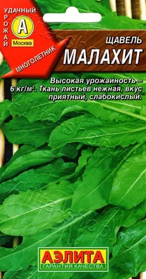 Щавель Малахит 0,5г, семена | Купить в интернет магазине Аэлита