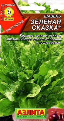 Семена зелени Щавель Бельвильский купить в Украине | Веснодар