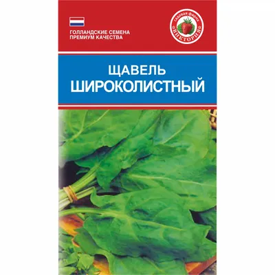 Семена зелени Щавель Бельвильский купить в Украине | Веснодар