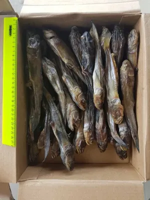 Вяленая чехонь - Fishmarket - магазин рыбы и морепродуктов
