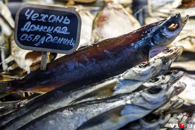 Рыба моей мечты: как выбрать самых вкусных донских «королей» на  волгоградских рынках - 11 октября 2018 - v1.ru