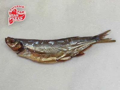 Купить чехонь вяленая Рыба-царь неразделанная +-500 г, цены на Мегамаркет |  Артикул: 100050032230