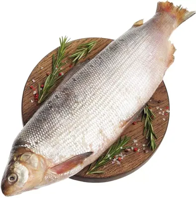 Где самая вкусная соленая и копченая рыба в Тюмени - 25 мая 2022 - 72.ru