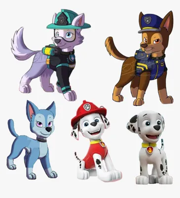 Набор щенят Щенячий патруль (Paw patrol) - Купить Набор 8 героев в плащах |  Интернет-магазин детских игрушек по выгодным ценам Bimkid.ru