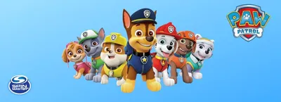 Набор фигурок Paw Patrol Cat Pack - Щенячий патруль - Фигурки: собаки +  кошки 6066044 - купить с доставкой по выгодным ценам в интернет-магазине  OZON (1200251836)