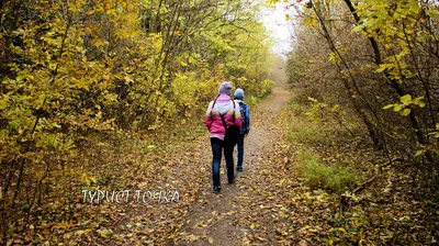 Щепкинский лес в Ростове-на-Дону, Щепкинский лес - фото, отзывы 2024,  рейтинг, телефон и адрес