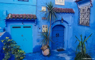 Шефшауэн синий город Марокко, улица …» — создано в Шедевруме