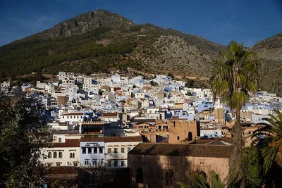 📍Шефшауэн (Шавен) – экзотический город в Марокко, известный тем, что его  стены, лестницы и площади выкрашены во все оттенки синего. ⠀ Вот… |  Instagram