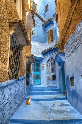 Шефшауэн: тот самый синий город в Марокко - AleksBlog.com