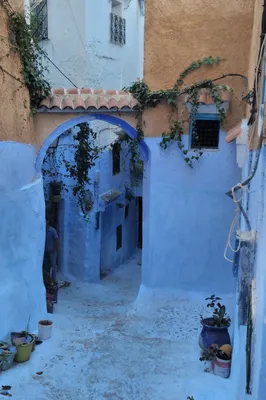 Шефшауэн, Марокко» — создано в Шедевруме