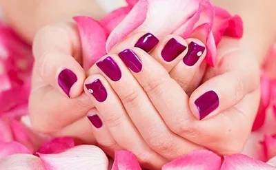 Покрытие Shellac, маникюр, педикюр и дизайн ногтей в Москве - Shellac *Москва*