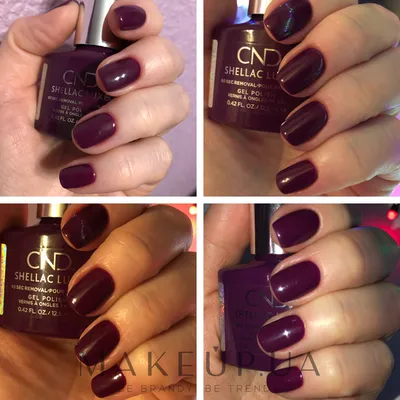 Палитра цветов Shellac