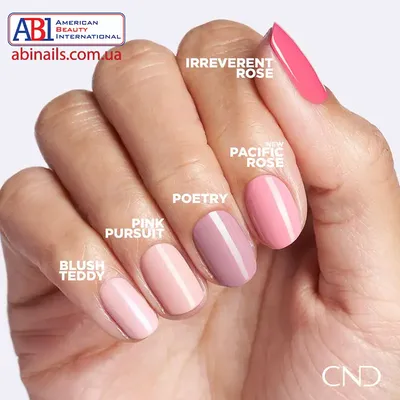 База для гель-лака CND Shellac Base 7.3 мл для ногтей – купить в Харькове,  Киев Украина