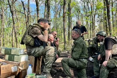 Загадочный Шервудский лес, фантастика…» — создано в Шедевруме