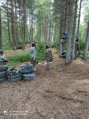 Давай поедем - Парк \"Шервудский лес\" - сказки детства .... | Facebook