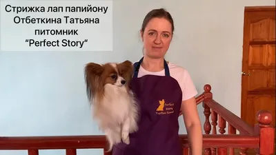 Что могло случиться ней... - ПРИЮТ для животных \"ДРУГ \" Днепр | Facebook