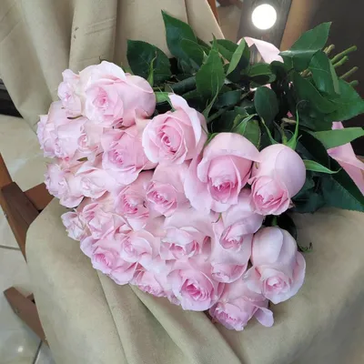 Шикарный букет из 49 голандских роз, первого сорта ~ Mishki123.ru