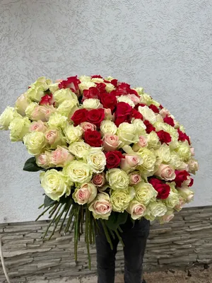 Купить Шикарный букет роз! с доставкой в Чехове, Подольске, Серпухове