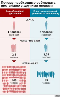 Ученые опасаются появления новых животных – резервуаров для SARS-CoV-2 |  Ветеринария и жизнь