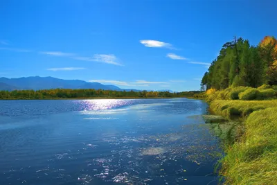 Широка река: ТОП-11 самых широких рек в мире | Путешествия, туризм, наука |  Дзен