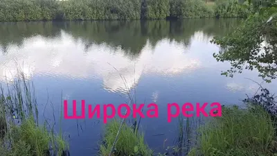 Широка река (много фото) - treepics.ru