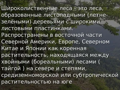 Временно не работает: заказник Широколиственные леса Подольского  лесничества, заповедник, Московская область, городской округ Подольск,  заказник Широколиственные леса Подольского лесничества — Яндекс Карты