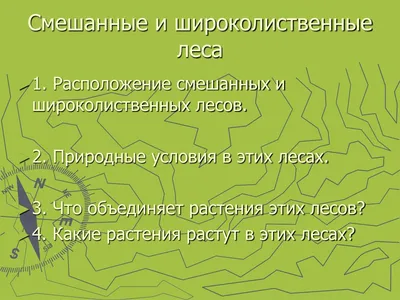 Весной на лыжах по заказнику Широколиственные леса под Климовском | Города  и горы | Дзен