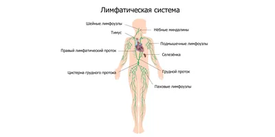 Как быстро убрать синяк? Причины возникновения гематом и порядок действий  при их появлении: Уход за собой: Забота о себе: Lenta.ru