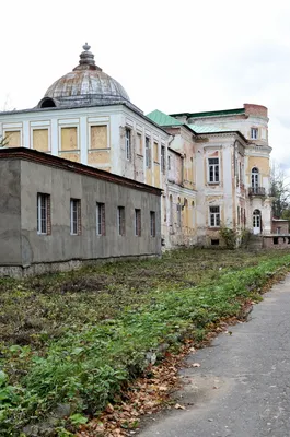 Коттеджный поселок Шишкин лес на Калужском шоссе, цены и фото