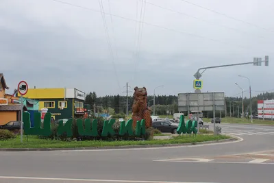 Коттеджный поселок Шишкин лес на Калужском шоссе, цены и фото