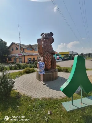 Посёлок Шишкин Лес (Москва). Часть первая