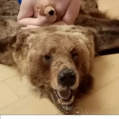 Шкура медведя без головы 210см купить с доставкой по России в мастерской  Подорова