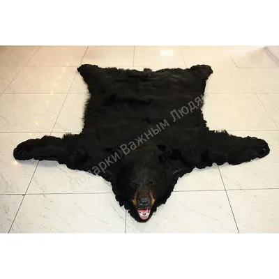 Купить Шкура медведя за 268 000 ₽ в Москве — 0011813