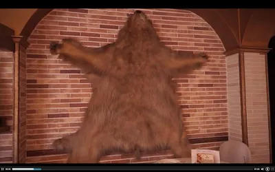 Купить Сувенир Ковер из шкуры медведя в ассорт. (в зависимости от размера)  Символика севера онлайн в интернет-магазине