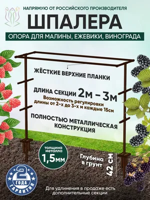 Продам шпалера для ежевики, купить шпалера для ежевики, Ростовская обл —  Agro-Russia