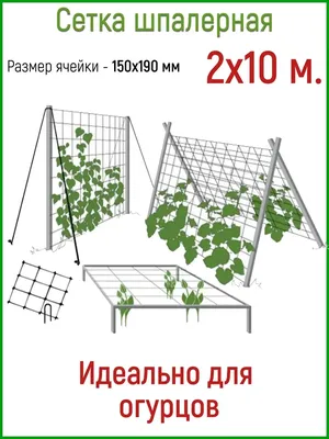 Как установить шпалерную сетку для огурцов?