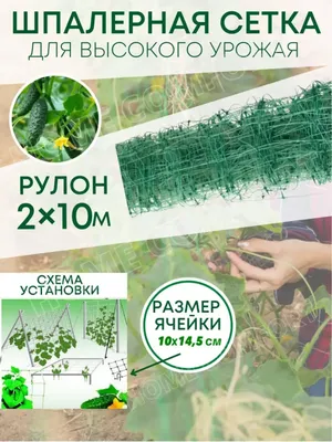 Огурцы на шпалерной сетке в открытом грунте: как натянуть на грядке |  Копилка дачника | Дзен