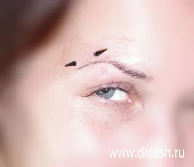 Пирсинг брови (The Eyebrow Piercing) / Каталог тату-салонов и мастеров