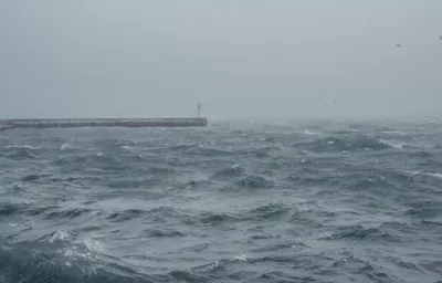 В Сочи девушку унесло в море во время шторма - NEWS.ru — 13.07.22
