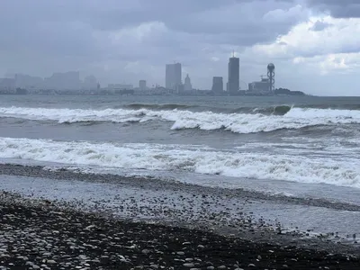 В Туапсе предупредили о шестиметровых волнах в Черном море - РИА Новости,  24.11.2023